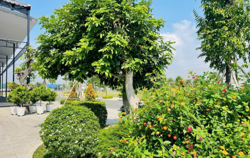 ĐẤT ĐẸP KHÔNG PHẢI BÀN - 90M2 CHỈ 950 TRIỆU ĐÃ SỞ HỮU SỔ HỒNG VỀ TAY